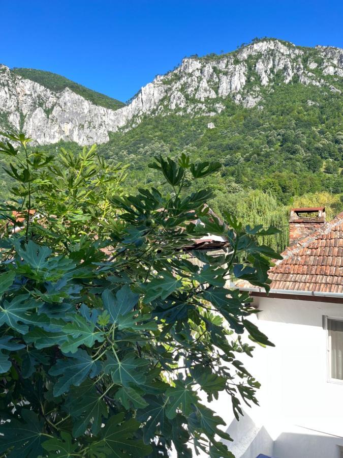 Gasthaus Vld Hotell Băile Herculane Eksteriør bilde